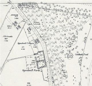 Speedwell in 1901